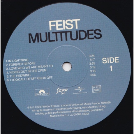 Feist - Multitudes (0602448481689) виниловая пластинка - фото 4