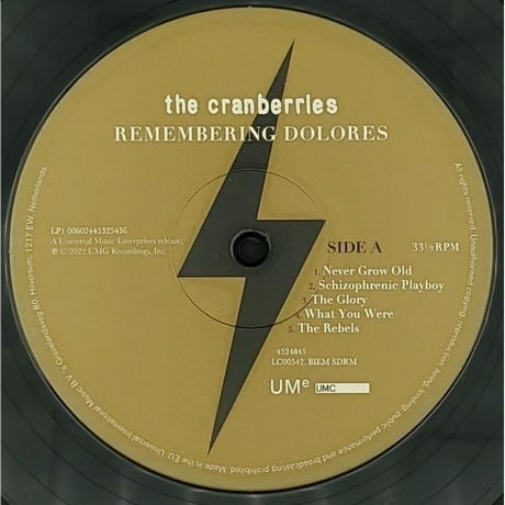 The Cranberries - Remembering Dolores (0602445248452) виниловая пластинка - фото 5