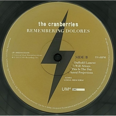 The Cranberries - Remembering Dolores (0602445248452) виниловая пластинка - фото 6