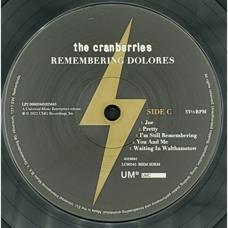 The Cranberries - Remembering Dolores (0602445248452) виниловая пластинка - фото 7