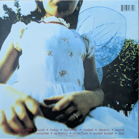 The Smashing Pumpkins - Siamese Dream (0602465173406) виниловая пластинка - фото 2