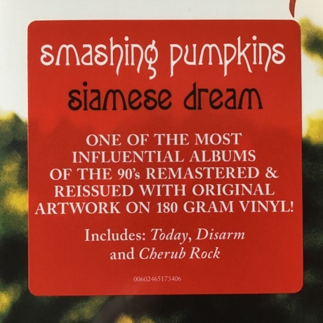 The Smashing Pumpkins - Siamese Dream (0602465173406) виниловая пластинка - фото 7