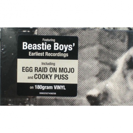The Beastie Boys - Some Old Bullshit (0602507458256) виниловая пластинка - фото 3