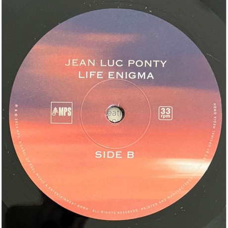 Jean-Luc Ponty - Life Enigma (4029759187929) виниловая пластинка - фото 3