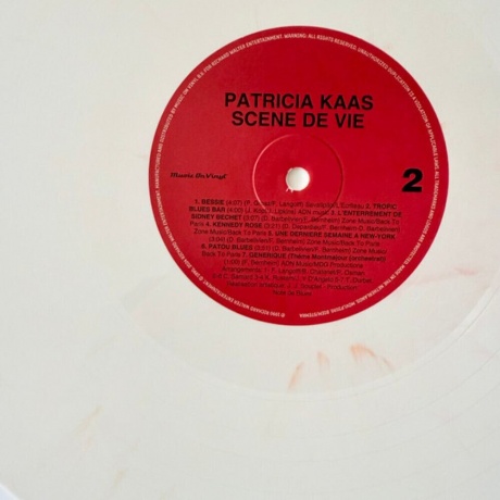 Patricia Kaas - Scene De Vie (coloured) (8719262038608) виниловая пластинка - фото 8