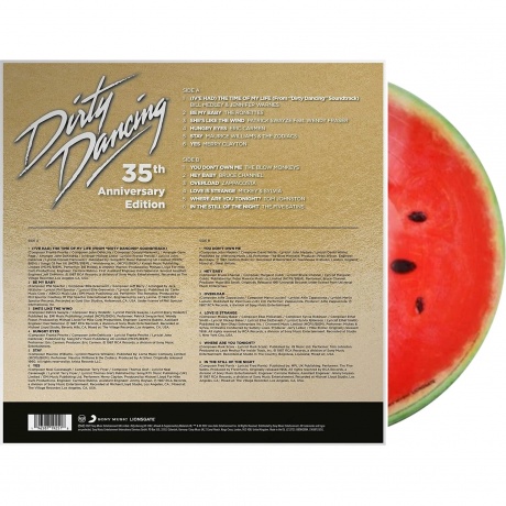 OST - Dirty Dancing (Various Artists) (picture) (0196587192518) виниловая пластинка - фото 2