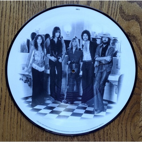 Fleetwood Mac - Fleetwood Mac (picture) (0603497819119) виниловая пластинка - фото 4