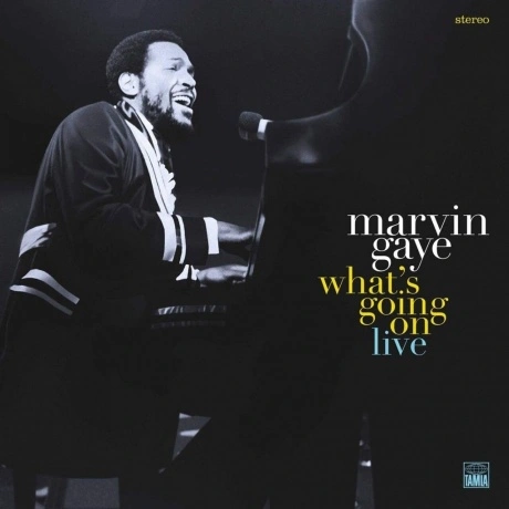 Gaye Marvin - Whats Going On (0602577612008) виниловая пластинка