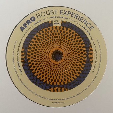 Various Artists - Afro House Experience  (3596974806665) виниловая пластинка - фото 4