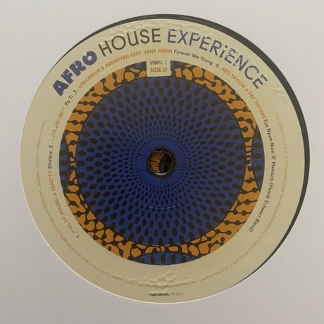 Various Artists - Afro House Experience  (3596974806665) виниловая пластинка - фото 6