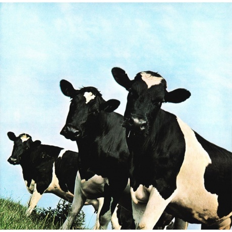 Pink Floyd - Atom Heart Mother (0888751842212) виниловая пластинка - фото 3