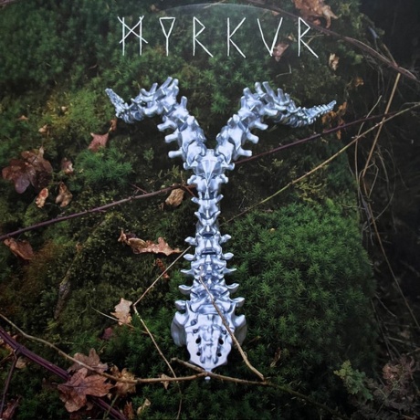 Myrkur - Spine (coloured) (0781676751617) виниловая пластинка - фото 1