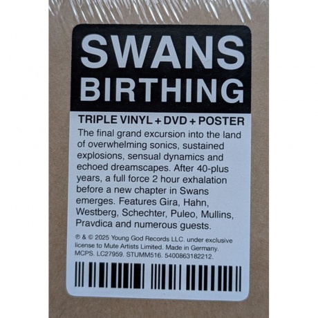 Swans - Birthing (5400863182212) виниловая пластинка - фото 15