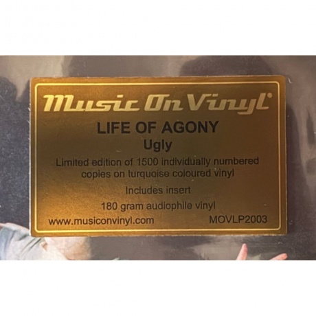 Life Of Agony - Ugly (coloured) (8719262038905) виниловая пластинка - фото 2