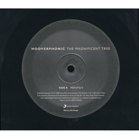 Hooverphonic - The Magnificent Tree (8719262000452) виниловая пластинка - фото 4