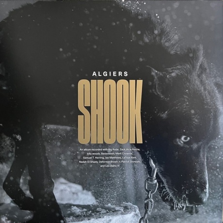 Algiers - Shook (coloured) (0191401178402) виниловая пластинка - фото 1