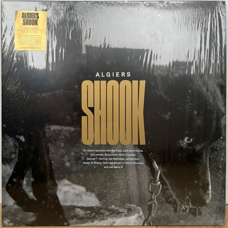 Algiers - Shook (coloured) (0191401178402) виниловая пластинка - фото 2