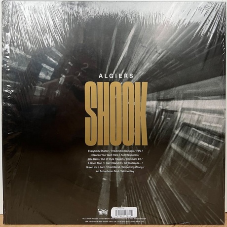 Algiers - Shook (coloured) (0191401178402) виниловая пластинка - фото 3