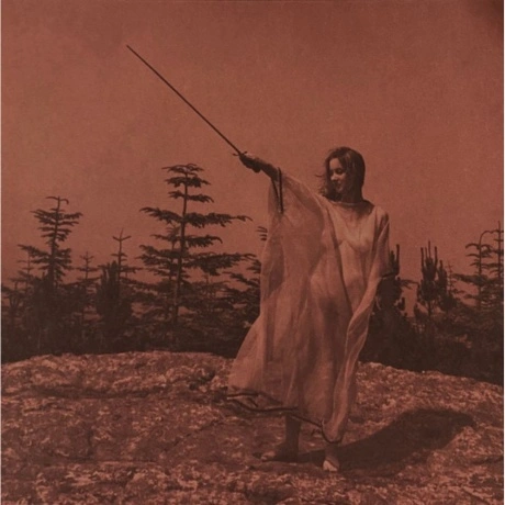 Unknown Mortal Orchestra - II (0656605223216) виниловая пластинк...
