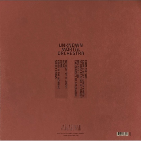 Unknown Mortal Orchestra - II (0656605223216) виниловая пластинка - фото 2