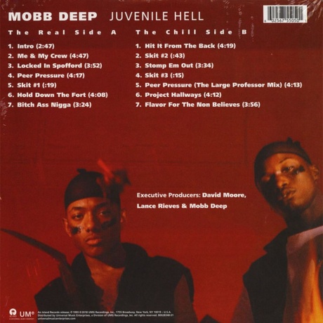 Mobb Deep - Juvenile Hell (0602567550501) виниловая пластинка - фото 2