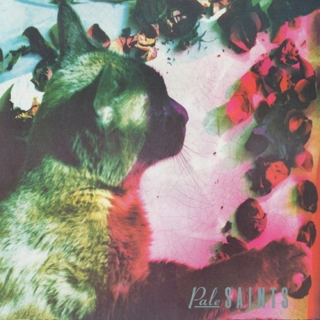 Pale Saints - The Comforts Of Madness (0191400015913) виниловая ...
