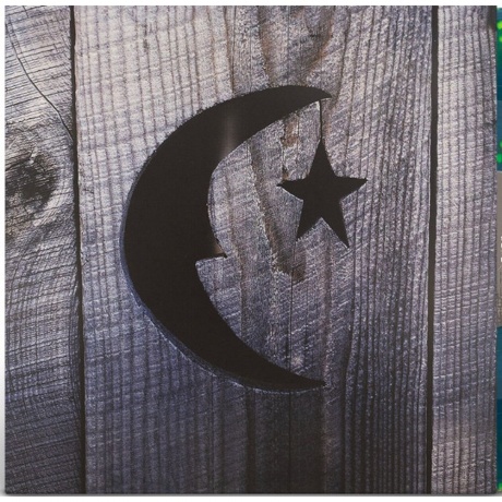Phish - Farmhouse (coloured) (0850014859442) виниловая пластинка - фото 1