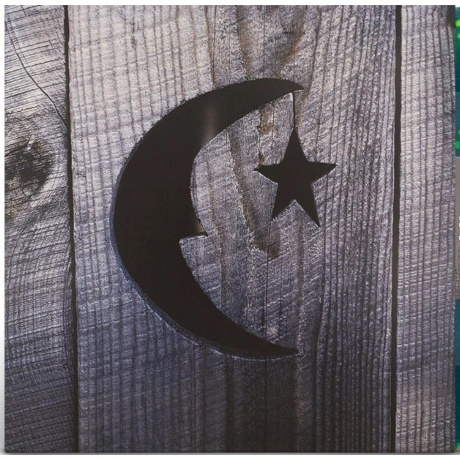 Phish - Farmhouse (coloured) (0850014859442) виниловая пластинка