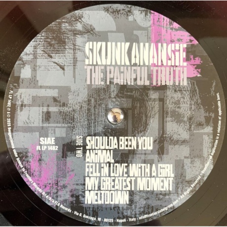 Skunk Anansie - The Painful Truth (8024391148259) виниловая пластинка - фото 4