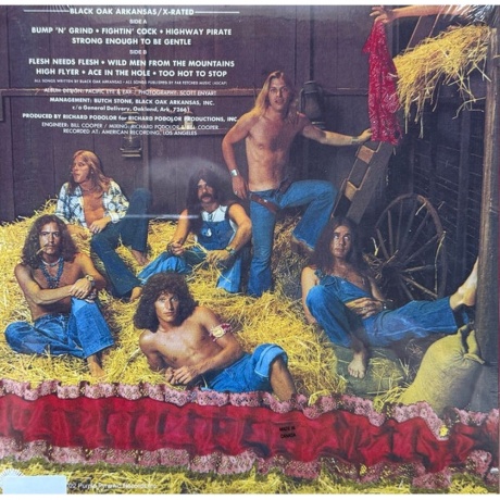 Black Oak Arkansas - X Rated (coloured) (0889466197314) виниловая пластинка - фото 2
