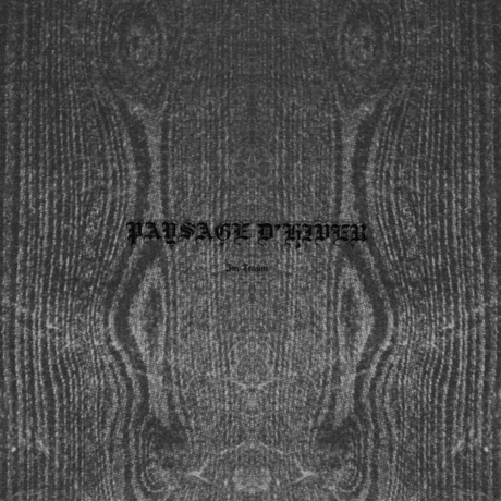 Paysage D'Hiver - Im Traum (EP) (V10) (0884388609723) виниловая пластинка - фото 1