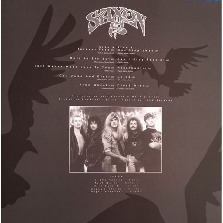 Saxon - Forever Free (coloured) (8719262039735) виниловая пластинка - фото 5
