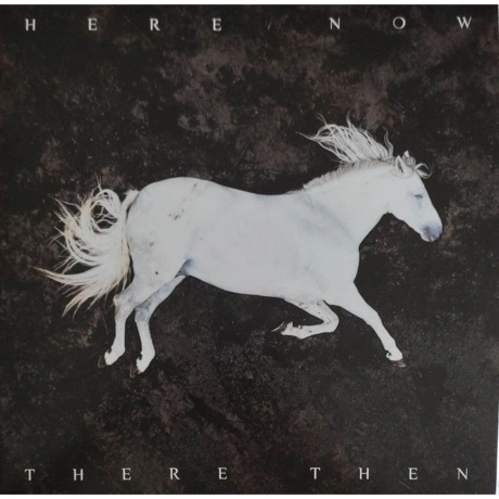 Dool - Here Now, There Then (Gold) (0884388872158) виниловая пла...