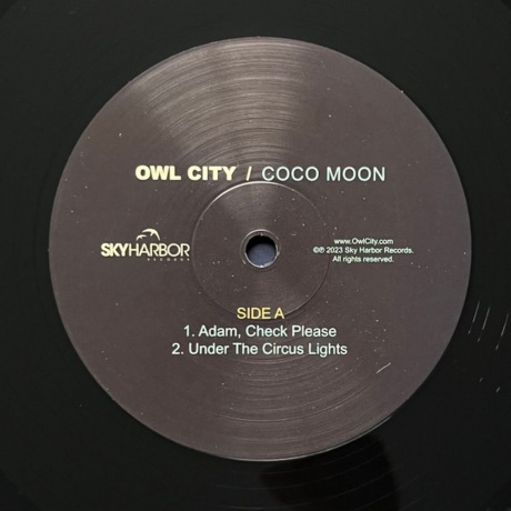 Owl City - Coco Moon (0810096653253) виниловая пластинка - фото 8