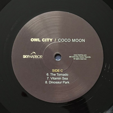 Owl City - Coco Moon (0810096653253) виниловая пластинка - фото 10