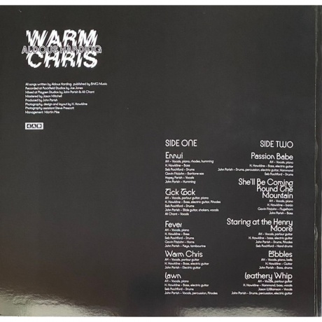 Aldous Harding - Warm Chris (0191400039117) виниловая пластинка - фото 2