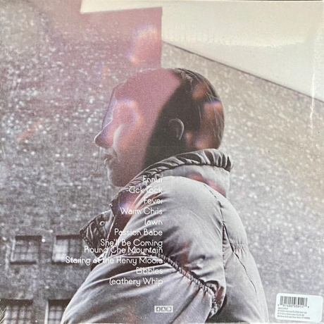 Aldous Harding - Warm Chris (0191400039117) виниловая пластинка - фото 11