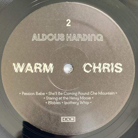 Aldous Harding - Warm Chris (0191400039117) виниловая пластинка - фото 6