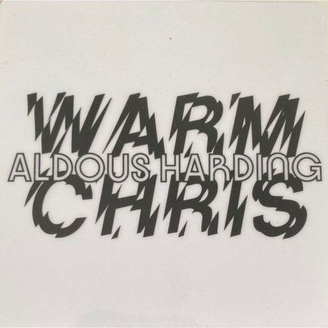 Aldous Harding - Warm Chris (0191400039117) виниловая пластинка - фото 9