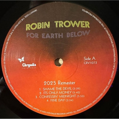 Robin Trower - For Earth Below (0840401712535) виниловая пластинка - фото 5