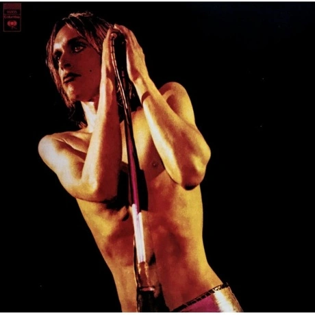 The Stooges - Raw Power (0886919593518) виниловая пластинка