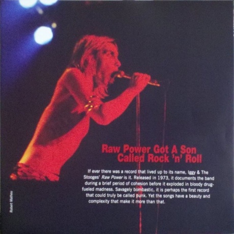 The Stooges - Raw Power (0886919593518) виниловая пластинка - фото 3