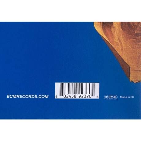 Rainer Bruninghaus - Freigeweht (Analogue) (0602458923704) виниловая пластинка - фото 3