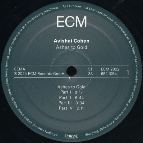 Avishai Cohen - Ashes To Gold (0602465210545) виниловая пластинка - фото 3