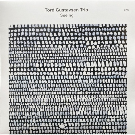 Tord Gustavsen - Seeing (0602465204629) виниловая пластинка - фото 1