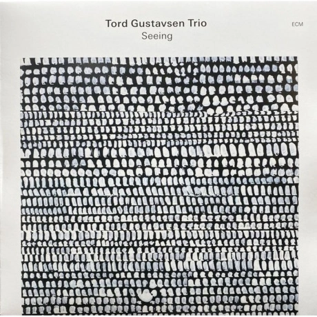 Tord Gustavsen - Seeing (0602465204629) виниловая пластинка