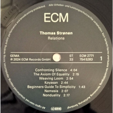 Thomas Stronen - Relations (0602475452836) виниловая пластинка - фото 2