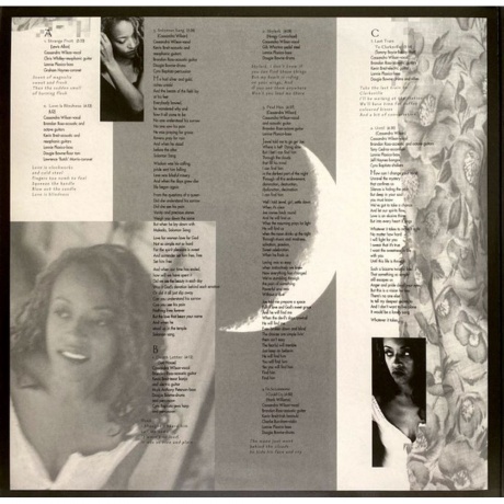 Cassandra Wilson - New Moon Daughter (Analogue) (5060149621790) виниловая пластинка - фото 2