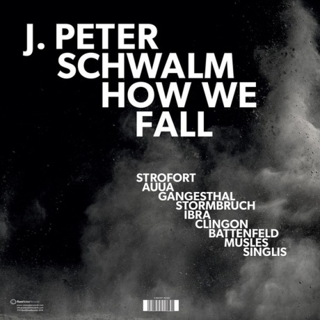 Jan Peter Schwalm - How We Fall (5060197761561) виниловая пластинка - фото 2