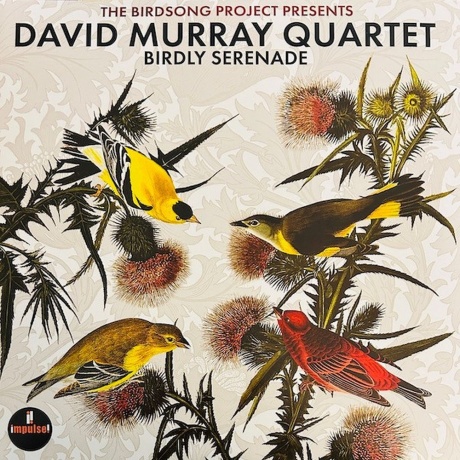David Murray - Birdly Serenade (0602475915928) виниловая пластинка - фото 1